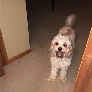 Meet your Posher, Sara